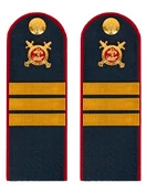 Погоны Полиции темно-синие КАРТОН Звание Сержант 15см