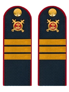 Погоны Полиции темно-синие КАРТОН Звание Сержант 15см