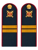 Погоны Полиции темно-синие КАРТОН Звание Младший Сержант 15см