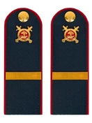 Погоны Полиции темно-синие КАРТОН Звание Ефрейтор 15см