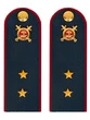Погоны Полиции темно-синие КАРТОН Звание Прапорщик 15см