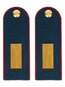 Погоны Полиции на Китель синие КАРТОН Звание Старшина Пришивные 15см