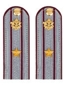 Погоны ФСИН серые картон звание Майор 12 см