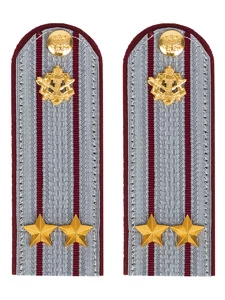 Погоны ФСИН на рубашку серые картон звание Подполковник 12 см