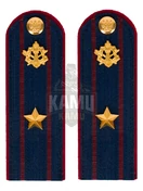 Погоны ФСИН на куртку картон звание Майор 12 см