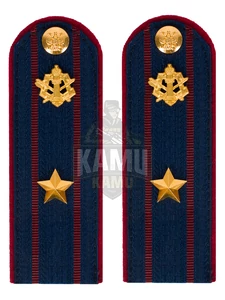 Погоны ФСИН на куртку картон звание Майор 12 см