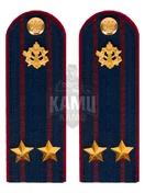 Погоны ФСИН на куртку картон звание Подполковник 12 см