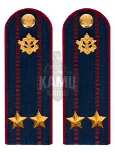 Погоны ФСИН на куртку картон звание Подполковник 12 см