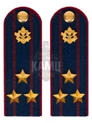 Погоны ФСИН на куртку картон звание Полковник 12 см