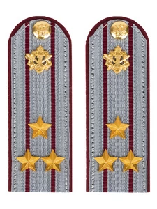 Погоны ФСИН на рубашку картон звание Полковник 12см