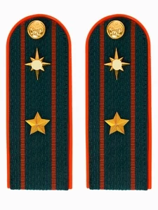 Погоны МЧС на куртку 14х5см ПЛАСТИК (в сборе) укомплектованные с фурнитурой звание Майор