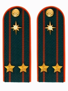 Погоны МЧС на куртку 14х5см ПЛАСТИК (в сборе) укомплектованные с фурнитурой звание Подполковник