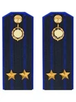 Погоны ФСБ на куртку цвет синий ПЛАСТИК, звание Подполковник 14х5,5см