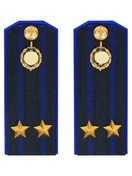 Погоны ФСБ на куртку цвет синий ПЛАСТИК, звание Подполковник 14х5,5см