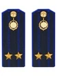 Погоны ФСБ на куртку цвет синий ПЛАСТИК, звание Подполковник 14х5,5см