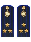 Погоны ФСБ на куртку цвет синий ПЛАСТИК, звание Полковник 14х5,5см