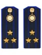 Погоны ФСБ на куртку цвет синий ПЛАСТИК, звание Полковник 14х5,5см