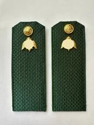 Погоны Росгвардии ФСВН 14х5 см ПЛАСТИК звание Рядовой цвет сосна зеленая