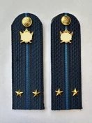 Погоны ФССП с фурнитурой звание Лейтенант картон 14х4,5см цвет темно-синий