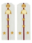 Погоны Росгвардии ФСВНГ на рубашку белые 14х5 см Картон звание Капитан