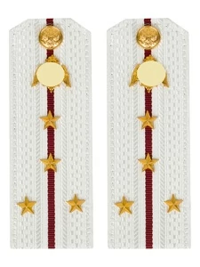 Погоны Росгвардии ФСВНГ на рубашку белые 14х5 см Картон звание Капитан