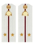 Погоны Росгвардии ФСВНГ на рубашку белые 14х5 см ПЛАСТИК звание Лейтенант