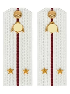 Погоны Росгвардии ФСВНГ на рубашку белые 14х5 см ПЛАСТИК звание Лейтенант