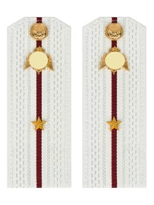 Погоны Росгвардии ФСВНГ на рубашку белые 14х5 см ПЛАСТИК звание Младший Лейтенант