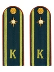 Погоны МЧС курсантские галун 14х5см картон (в сборе) укомплектованные с фурнитурой