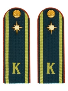 Погоны МЧС курсантские галун 14х5см картон (в сборе) укомплектованные с фурнитурой