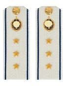 Погоны ФСБ на рубашку белые картон звание Старший Прапорщик 14х5,5см