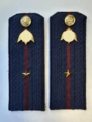 Погоны Росгвардии ФСВНГ на куртку 14см ПЛАСТИК звание Младший Лейтенант цвет темно-синий