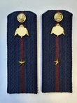 Погоны Росгвардии ФСВНГ на куртку 14см Картон звание Младший Лейтенант цвет темно-синий