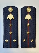 Погоны Росгвардии ФСВНГ на куртку 14см Картон звание Капитан цвет темно-синий