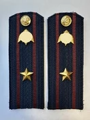 Погоны Росгвардии ФСВНГ на куртку 14см Картон звание Майор цвет темно-синий