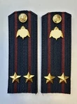 Погоны Росгвардии ФСВНГ на куртку 14см Картон звание Подполковник цвет темно-синий