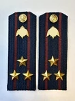 Погоны Росгвардии ФСВНГ на куртку 14см Картон звание Полковник цвет темно-синий