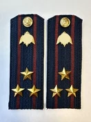 Погоны Росгвардии ФСВНГ на куртку 14см Картон звание Полковник цвет темно-синий