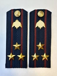 Погоны Росгвардии ФСВНГ на куртку 14см Картон звание Полковник цвет темно-синий