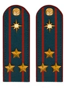 Погоны МЧС на куртку 14х5см картон (в сборе) укомплектованные с фурнитурой звание Полковник