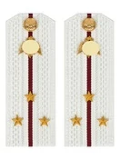 Погоны Росгвардии ФСВНГ на рубашку белые 14х5 см ПЛАСТИК звание Старший Лейтенант