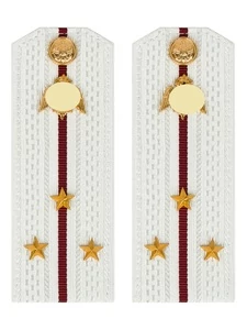 Погоны Росгвардии ФСВНГ на рубашку белые 14х5 см ПЛАСТИК звание Старший Лейтенант