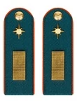 Погоны МЧС Старшина Картон