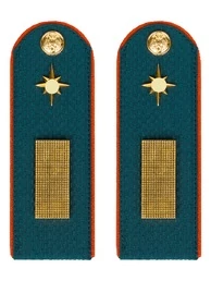 Погоны МЧС Старшина Картон