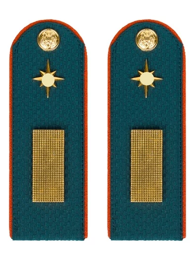 Погоны МЧС Старшина Картон