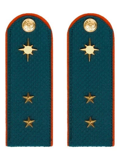 Погоны МЧС Прапорщик Картон