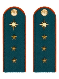 Погоны МЧС Старший Прапорщик Картон