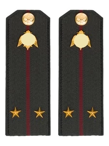 Погоны Росгвардии ФСВНГ на куртку 14х5 см ПЛАСТИК звание Лейтенант