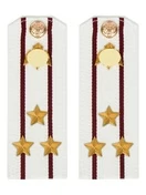 Погоны Росгвардии ФСВНГ на рубашку белые 14х5 см ПЛАСТИК звание Полковник