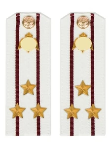 Погоны Росгвардии ФСВНГ на рубашку белые 14х5 см ПЛАСТИК звание Полковник